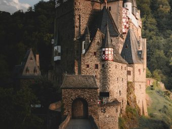 {{brizy_dc_image_alt entityId=